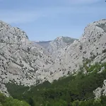 Amari